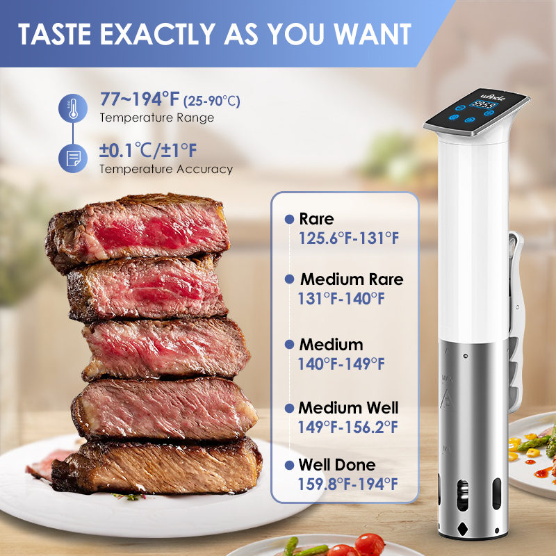 Wancle 1100W Tahan Air Vakum S - Sous Vide Immersion ulasan dan harga