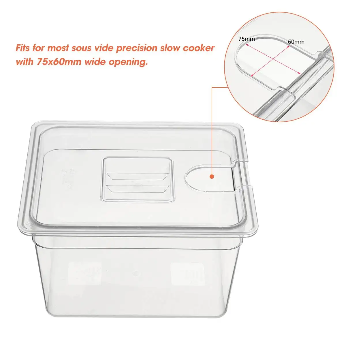 Tangki Air Kontainer Sous Vide - Sous Vide Immersion ulasan dan harga